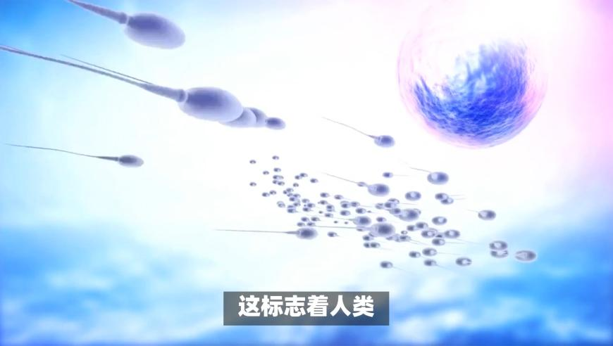 2025澳门今晚开特马,美国46个州宣布黄金为法定货币,多元化方案执行策略_潮流版V14.64