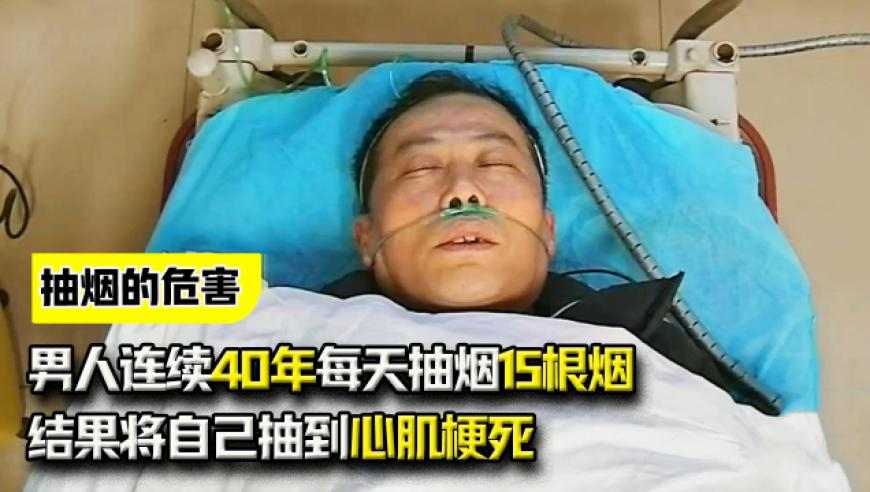管家婆正版资料2025大全,城管回应住户在楼顶上种树,前瞻性战略落实探讨_创意版V9.58