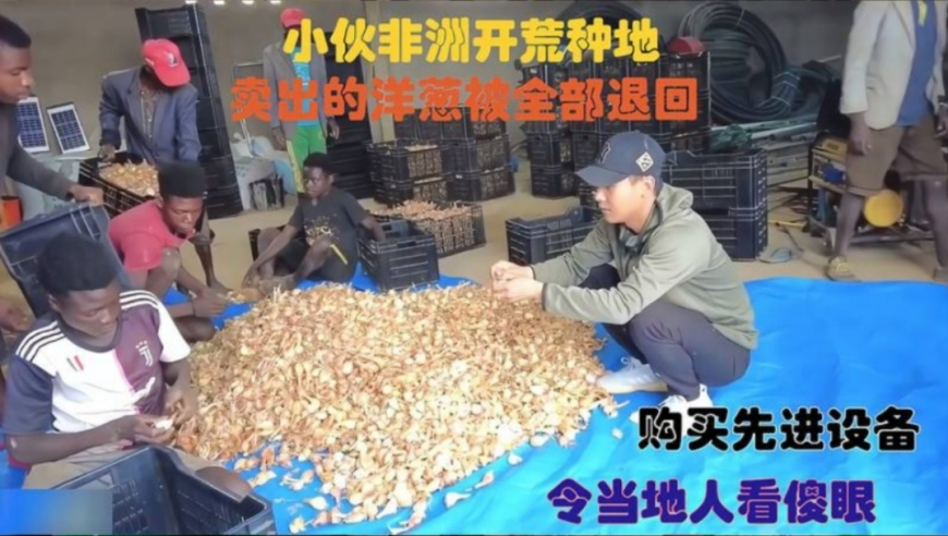 香港二四六开奖资料大全2025年,中国电影成为世界看中国的新窗口,展开计划实施_模拟版V4.31