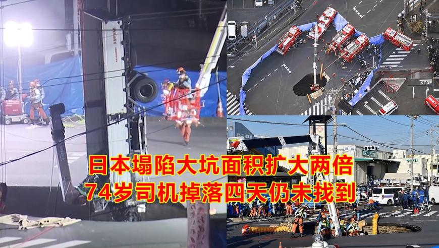 仙台有树 处处吻,香港王中王49114港奥玄机论坛,经典解释落实_黄金版V7.4