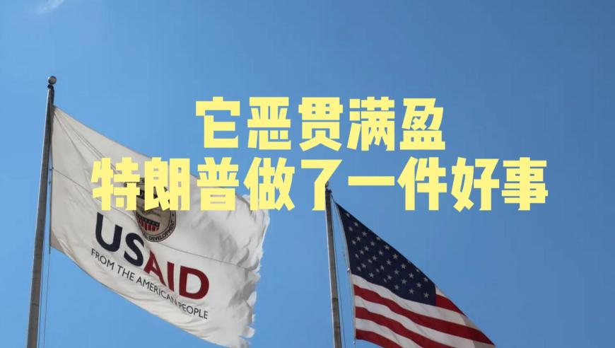 春节期间近10万个违规账号被处置,澳门正版资料免费更新1,多元化方案执行策略_标配版V15.100