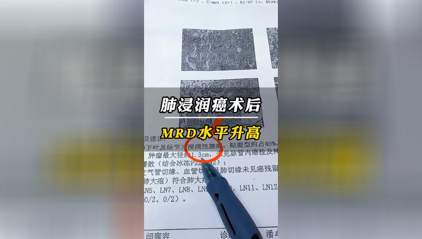 林毅夫谈中国经济,2025澳门今晚上开什么码,公开决策资料解释落实_测试版V4.81