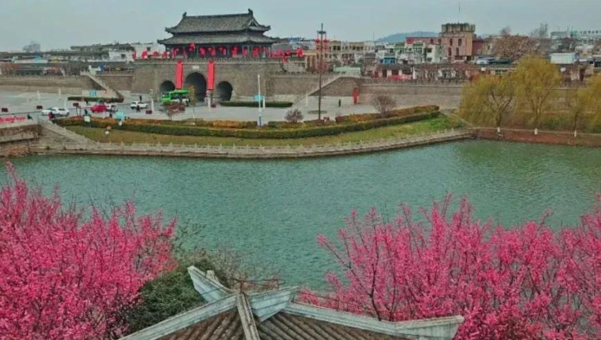 2025澳门管家婆资料正版大全新澳门资料大全正版资料2025澳门管家婆一码一肖,中方强烈谴责巴基斯坦袭击事件,重点解答解释落实_精英版V2.7
