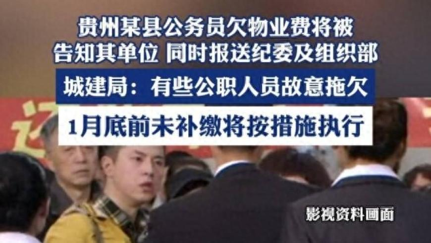 酷雅摇,澳门开奖结果2025开奖记录查询,作答解释落实的民间信仰_破例版V9.13