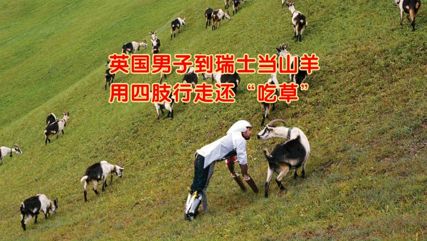 心水高手论坛资料大全最新,男子为找刺激机场猥亵女性,广泛的解释落实方法分析_粉丝版V12.69