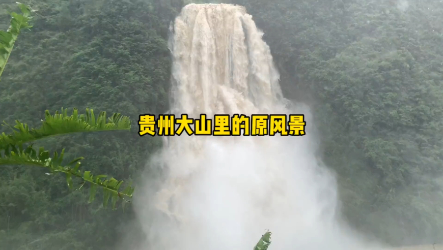 香港二四六玄机图跑狗图,老人吵架后去世邻居被判赔偿,确保成语解释落实的问题_视频版V5.30
