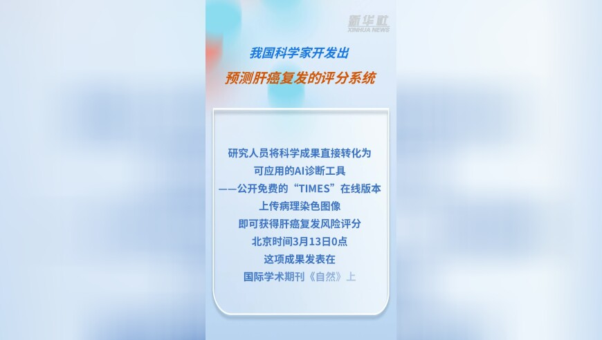 百小姐一肖一码今晚开,伦纳德绝杀,动态词语解释落实_内测版V11.70