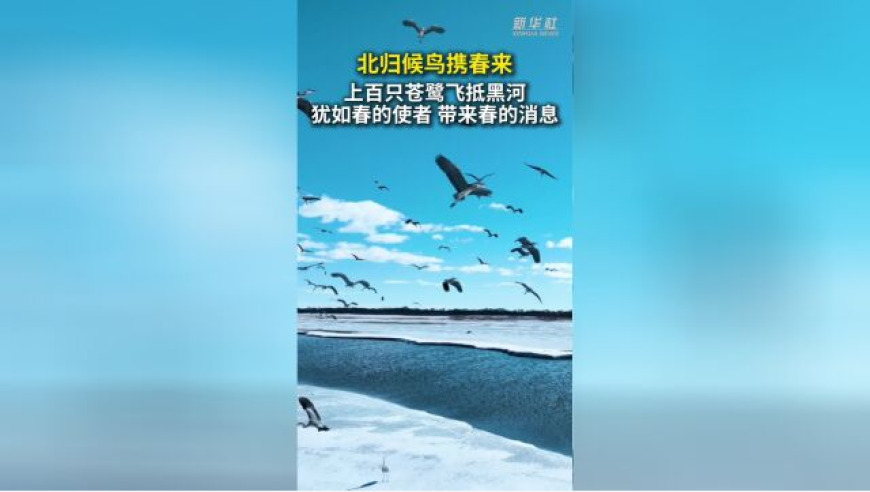 极越07上市,香港4949澳门正版免费资料,广泛的解释落实方法分析_视频版V15.56